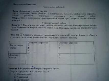 Практическая работа номер 7