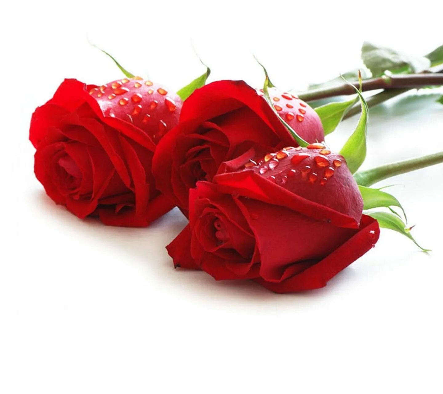 Amber rose духи. Розы сестренке. Нежный букет на день рождения. Букет цветов «день рождение». Красивый букет с днем рождения.