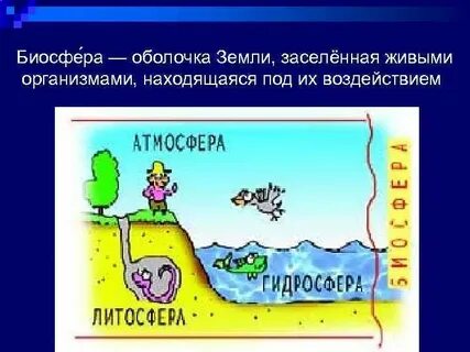 Оболочка населенная живыми организмами