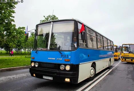 Автобус 256 спб