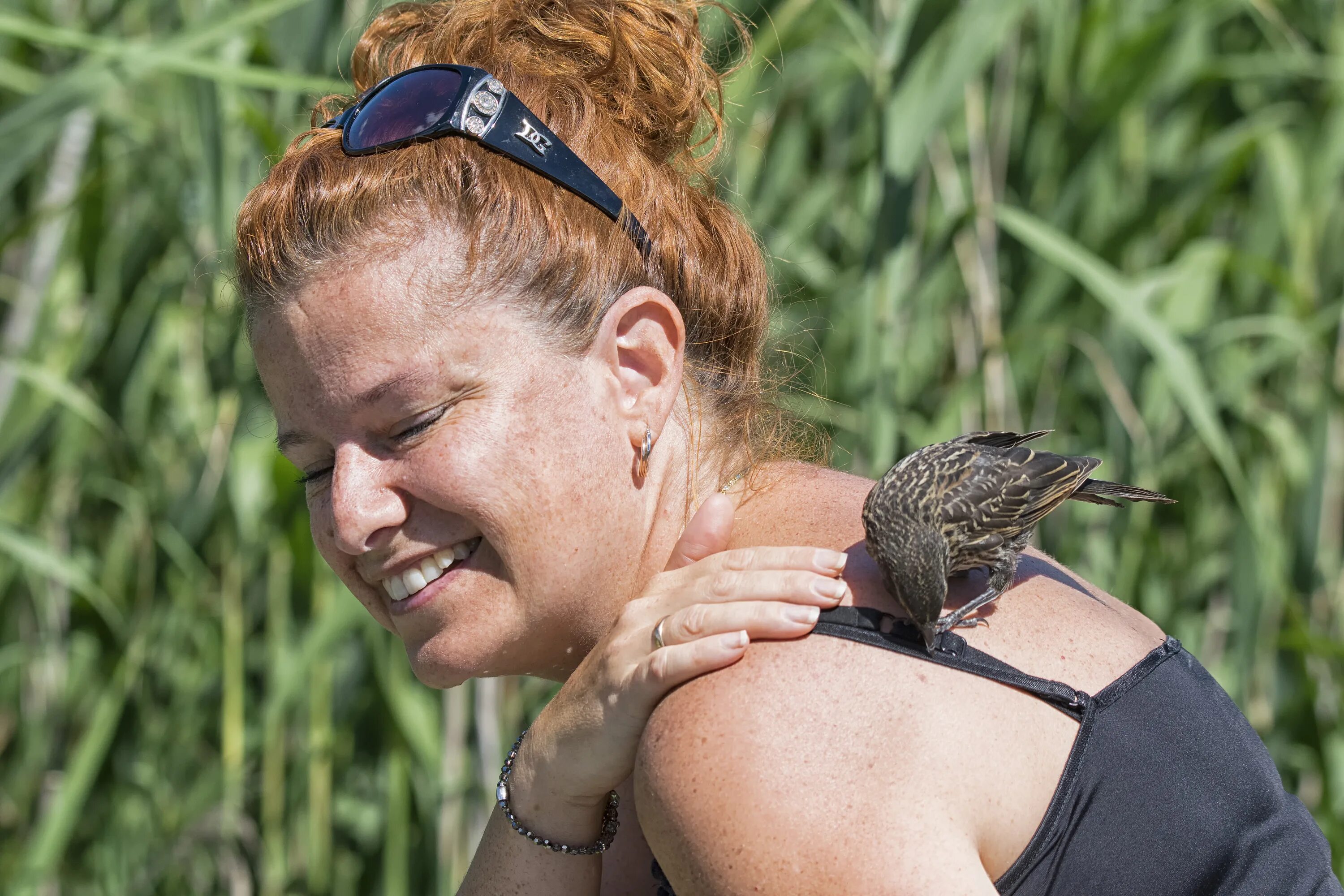 People and wildlife. Бешеные люди птицы. Birds and people. Птица инвалид. Дикая природа удивительна Мем Дроздов.