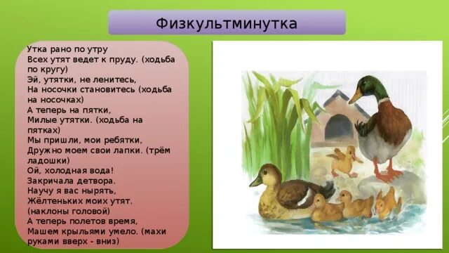 Физкультминутка утята. Физминутка уточка. Физминутка для детей про утку. Физминутка уточка и утята.