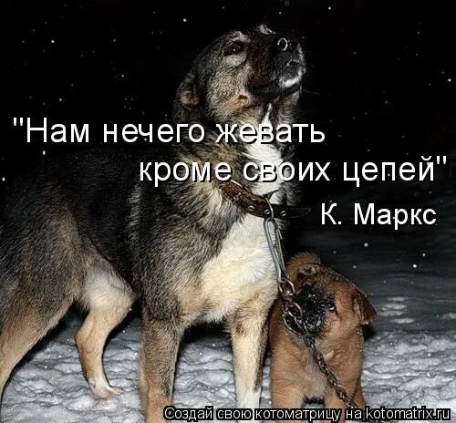 Мне просто нечего терять. Нам нечего терять кроме своих цепей. Нечего терять кроме своих цепей. Пролетариям нечего терять кроме своих цепей. Нечего терять кроме оков.