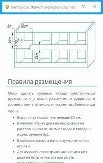Какие размеры гнезда для кур