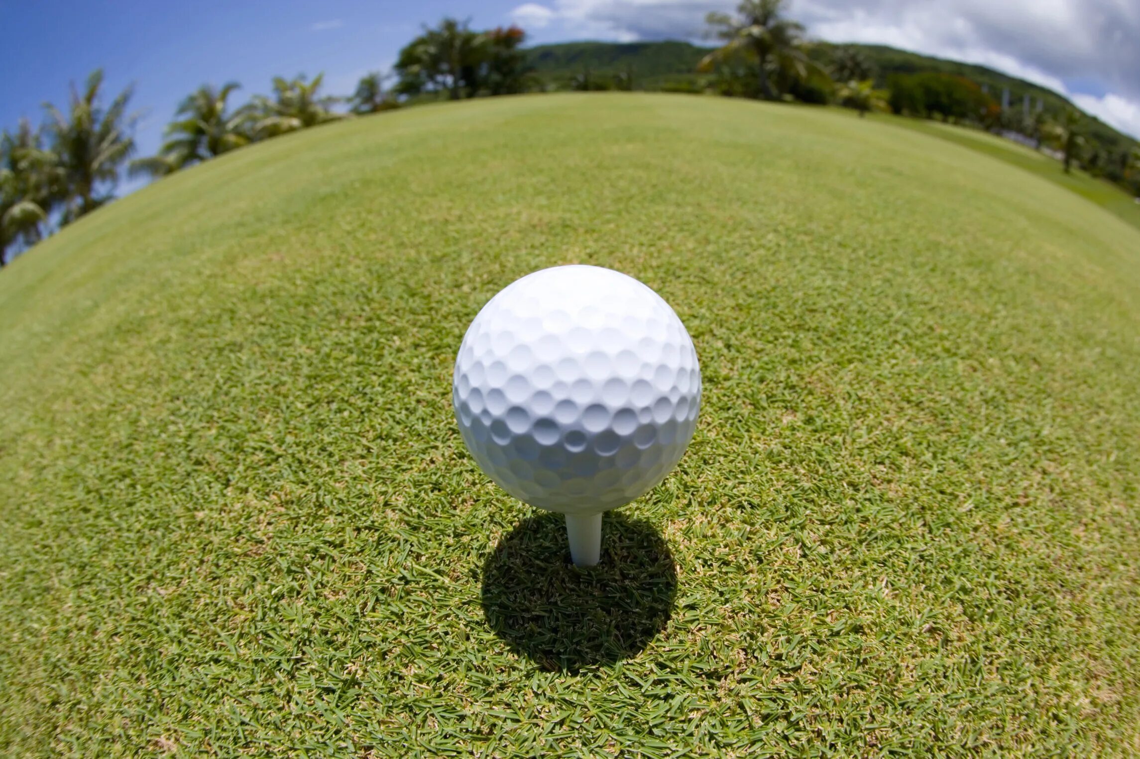 отверстие для мяча в гольфе. гольф шар в лунке. текстура мячика для гольфа. отверстие для мяча в гольфе. диаметр лунки для гольфа.