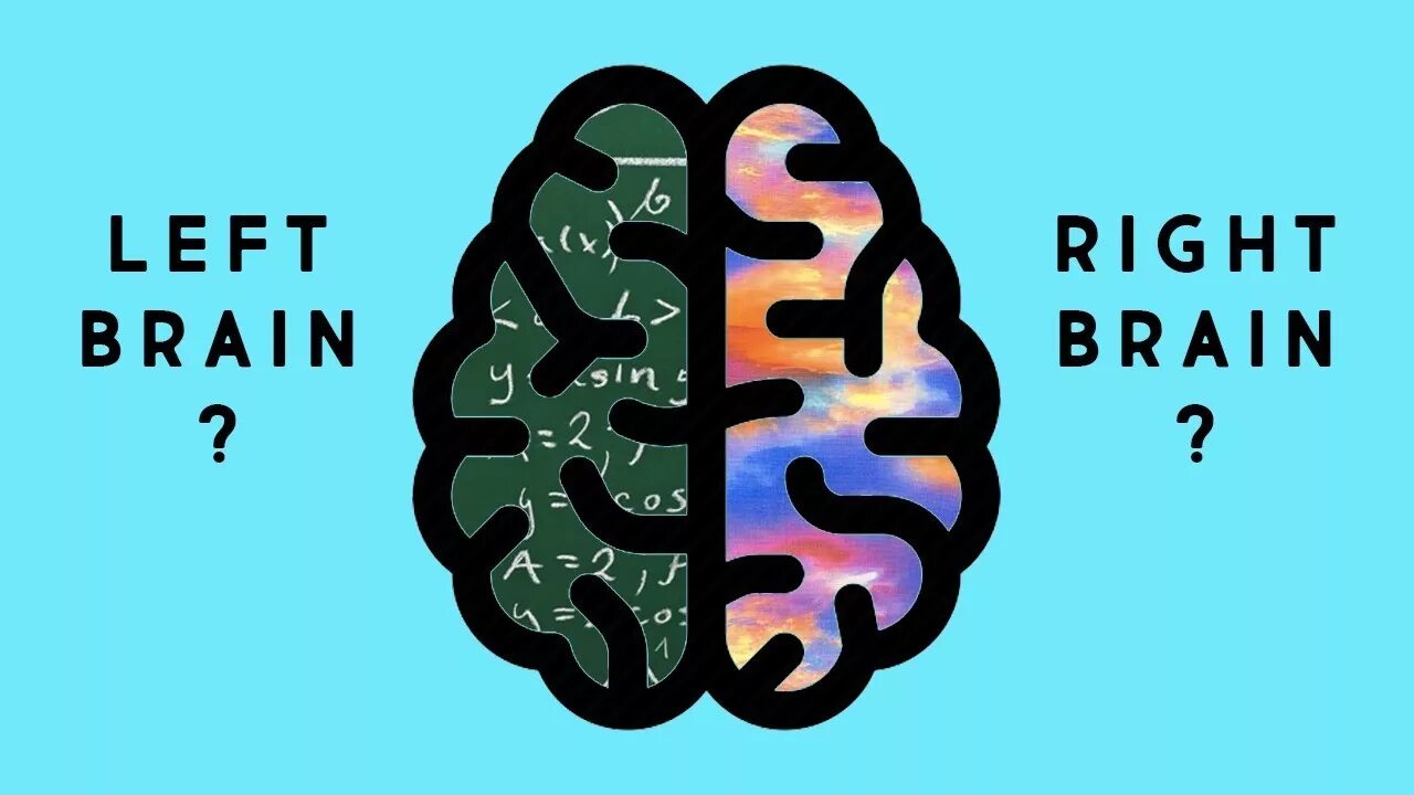 Left Brain right Brain. Left and right Brain functions. Left right Side of Brain. Brain left and right Hemisphere. Brain vs brain