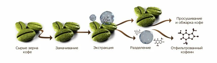 Как происходит процесс обработки кофейных зерен