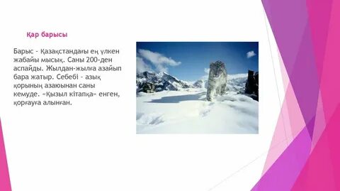 Ана мен бала порно