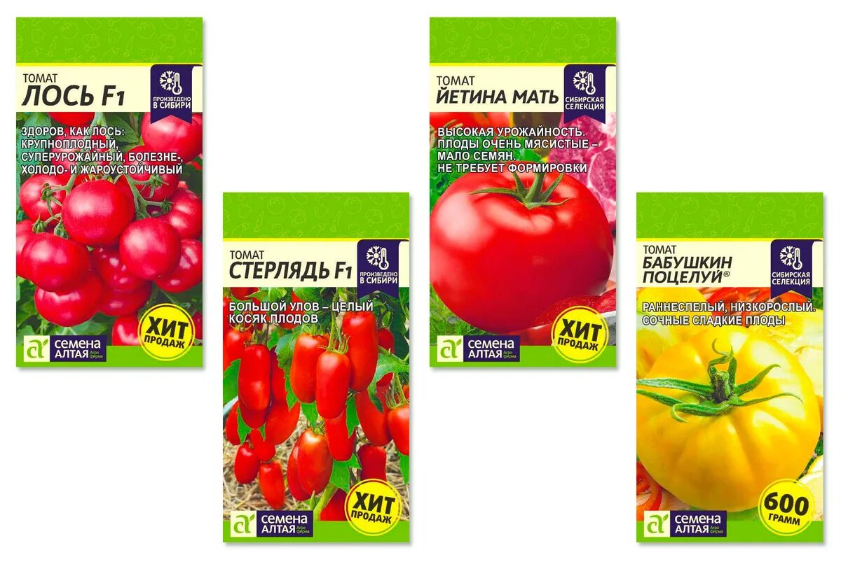 томат лось ф1. помидоры лось f1. томат семен безголовый семена алтая. томат лось семена алтая. лось в томате.