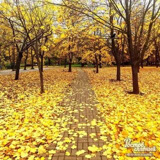 Золотая осень на дону