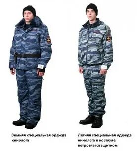 Нужно ли спец