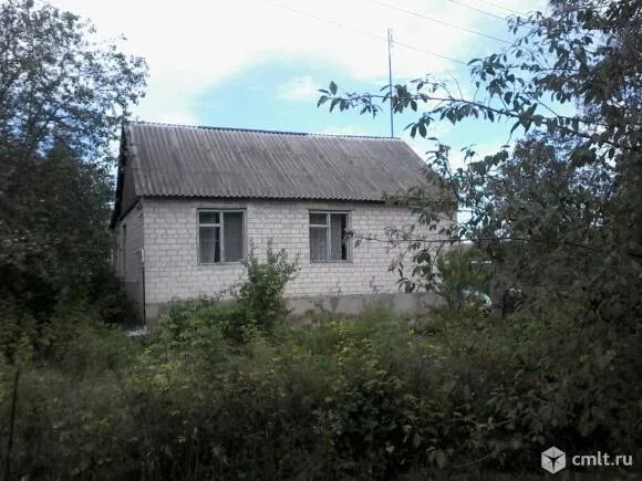 Село гнилуша липецкая область. Деревня гнилуша. Деревня гнилуша. Деревня гнилуша липецкая область. Гнилуша липецкая область.