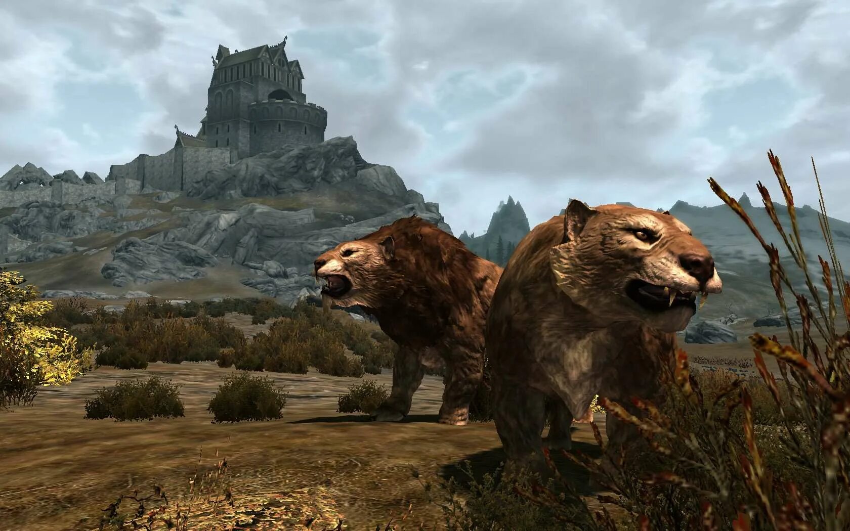 Забытая долина скайрим. Skyrim саблезуб. Саблезуб скайрим. Саблезубый тигр игра. Id саблезуба скайрим.