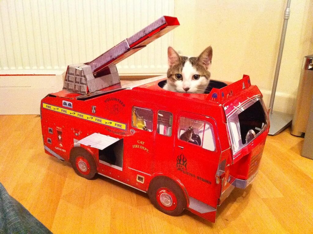 Купить машинку для кошек. Пожарная машина кошка. Кошачья машина. Машинка для кошек. Игрушечные машинки Cat.