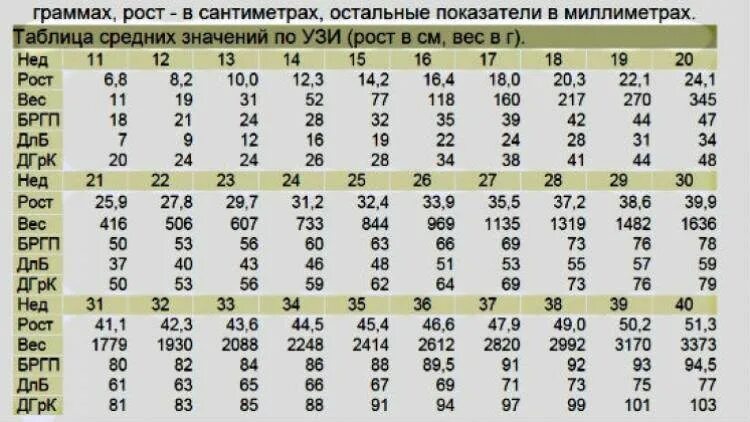 Нормы размера плода по УЗИ по неделям беременности. Таблица размеров плода по УЗИ 3 триместра. Размеры головки плода по неделям беременности таблица. Размер эмбриона по неделям беременности таблица.