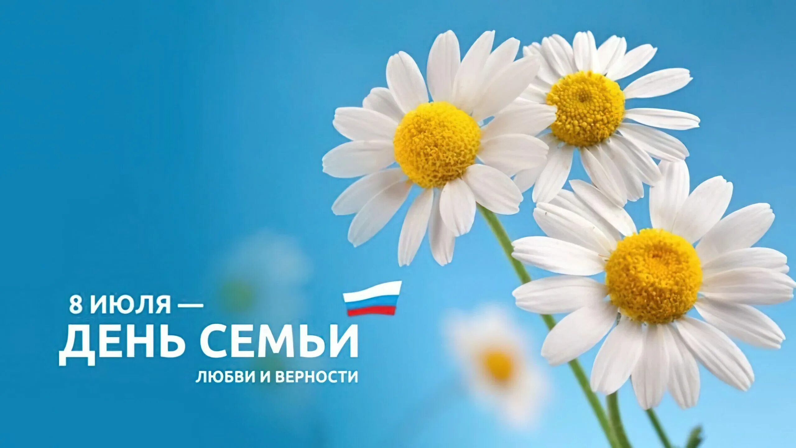 Когда день семьи любви и верности 2025. С днём семьи любви и верности. 8 июля день семьи любви и верности. ромашка день семьи. лент семьи любви и верности.