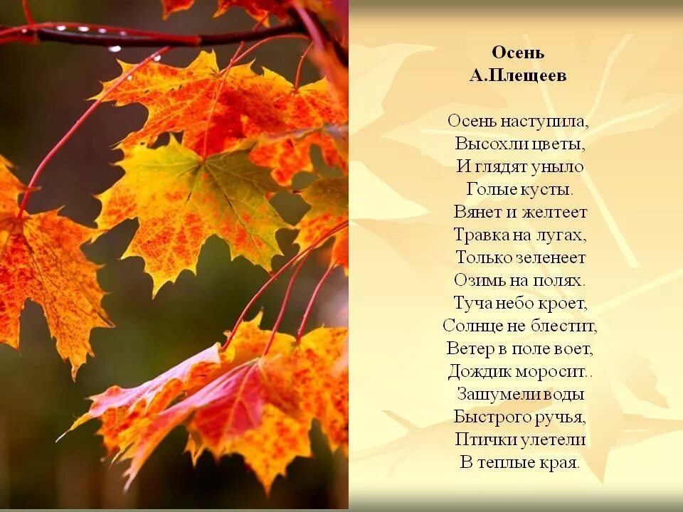 Автор стихотворения сентябрь