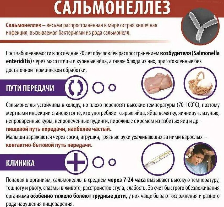 Сальмонеллез как передается от человека к человеку. Сальмонеллез профилактика заболевания. сальмонеллез симптомы причины профилактика. профилактикасальмонелл. профилактика сальмонеллеза у детей.