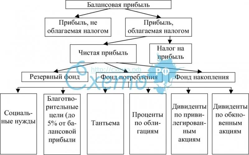 Распределение чистой прибыли общества. Схема распределения балансовой прибыли. распределение чистой прибыли в ао. распределение доходов акционерного общества. акционерное общество схема распределения прибыли акционерного.