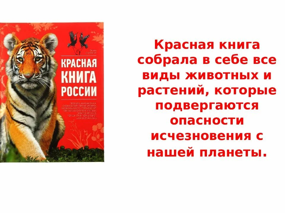 Красная книга о том. Красная книга для детей. Тема красная книга. Красное на Красном книга. Презентация по теме красная книга.