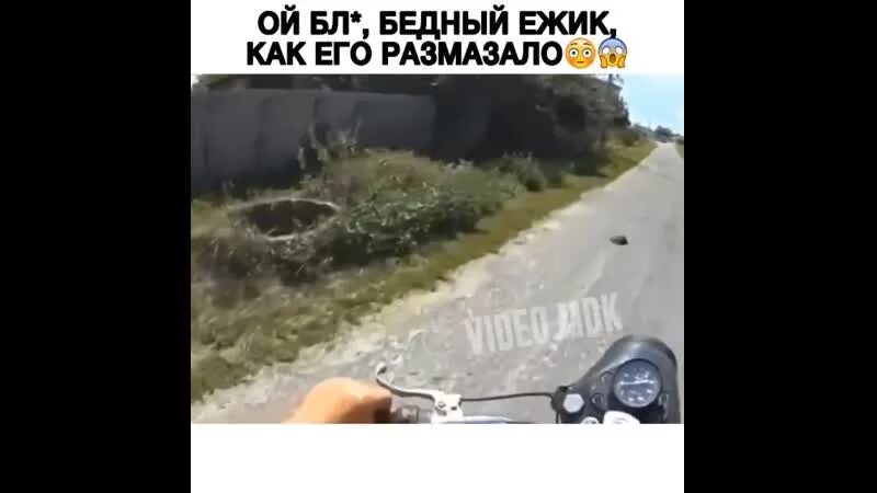 Бедный ежик минус. Бедный ежик. бедный ёжик песня. бедный ёжик текст. бедный ёжик алина бостынец.