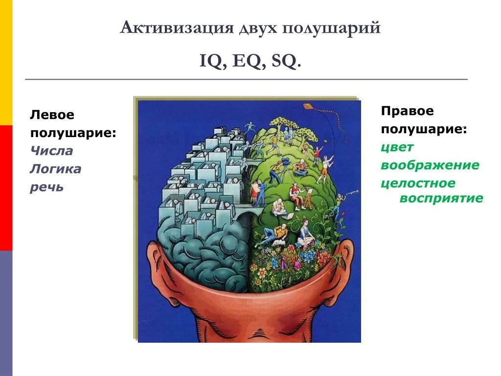 Полушарие логики. Активизация правого полушария. Логика речи. Логика выступления. Воображение правое левое полушарие.