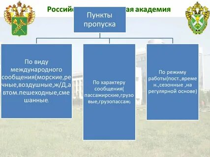 Классификация пропусков