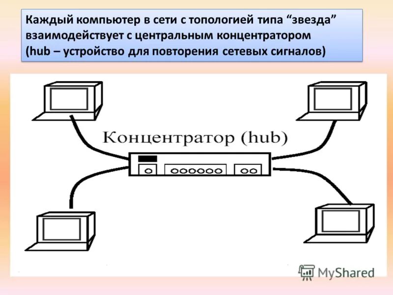 2 типа сетей