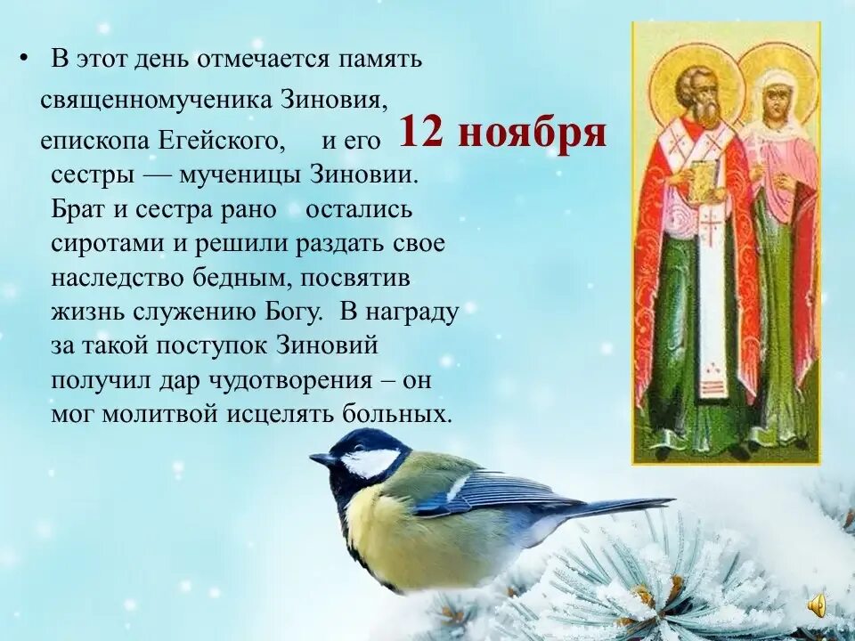 Синичкин праздник 12 ноября.