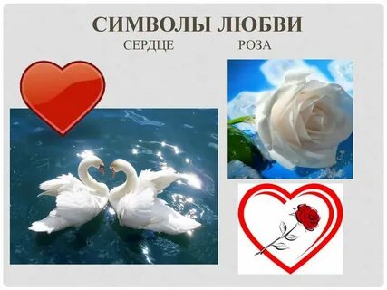 5 знаков любви