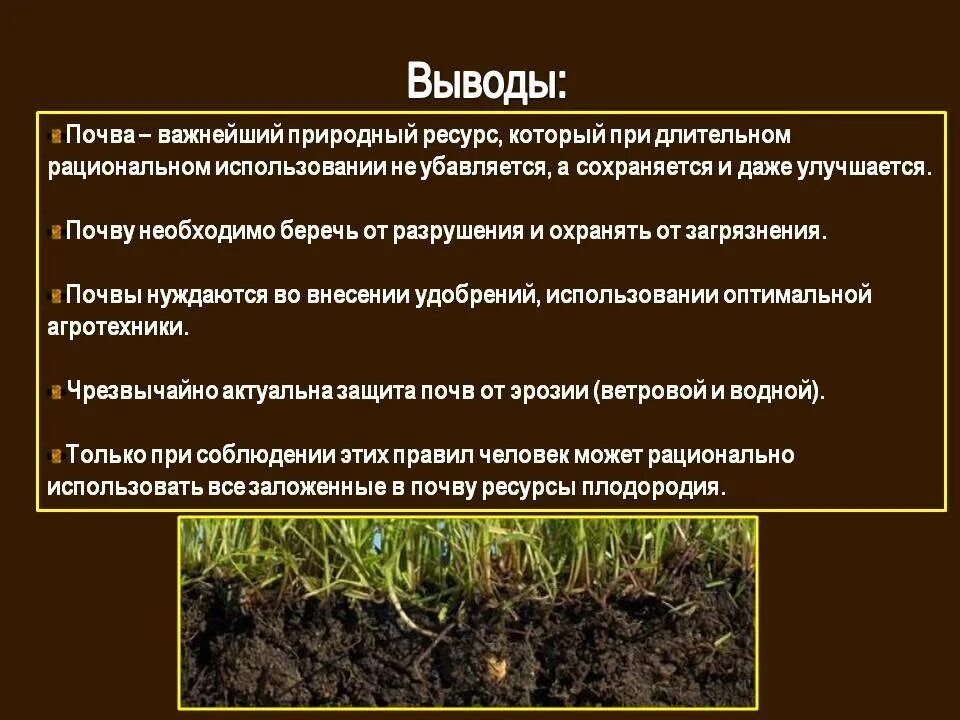 Сохранение почвы. Способы сохранения плодородия почвы. Охрана почвы. Почва охрана почвы. Изменения состояния почвы