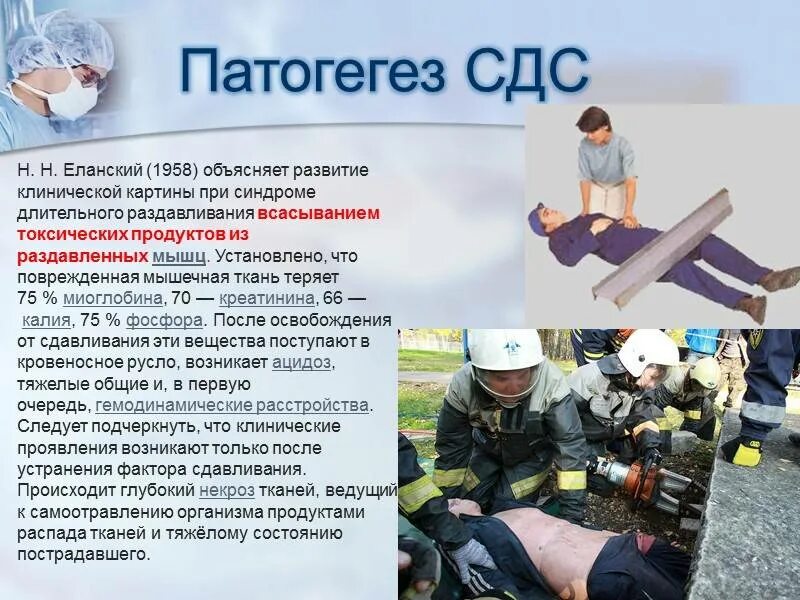 СДС – синдром длительного сдавливания, развивается:. Синдром длительного сдавливания травматический ШОК. Синдром длительногосдавлегия. Синдром сдавления краш синдром.