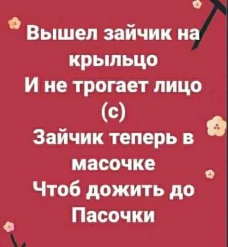 Заяц вышел на крыльцо почесать свое яйцо стих полностью. Стих вышел заяц на крыльцо. Вышел заяц на крыльцо почесать. Вышел заяц на крыльцо почесать свое яйцо. Стих вышел заяц на крыльцо почесать.