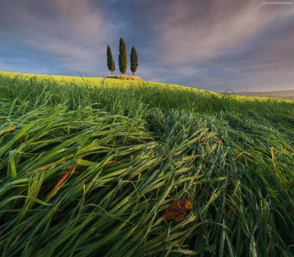 Фотографданиил Коржанов. Daniel Kordan Тоскана. X field