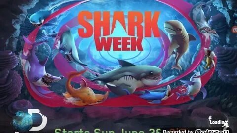 Shark world