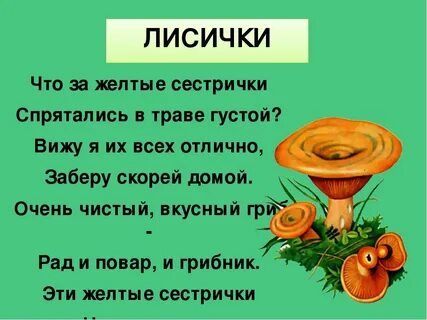 Стихи про грибы короткие