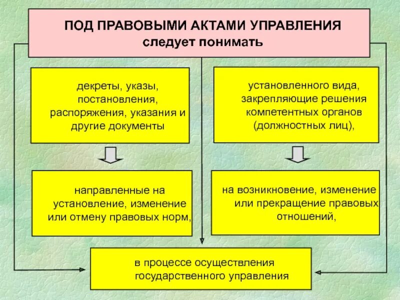 Функции правового акта управления. Акты государственного управления. Виды актов государственного управления. Правовой акт управления пример. Реализация актов управления