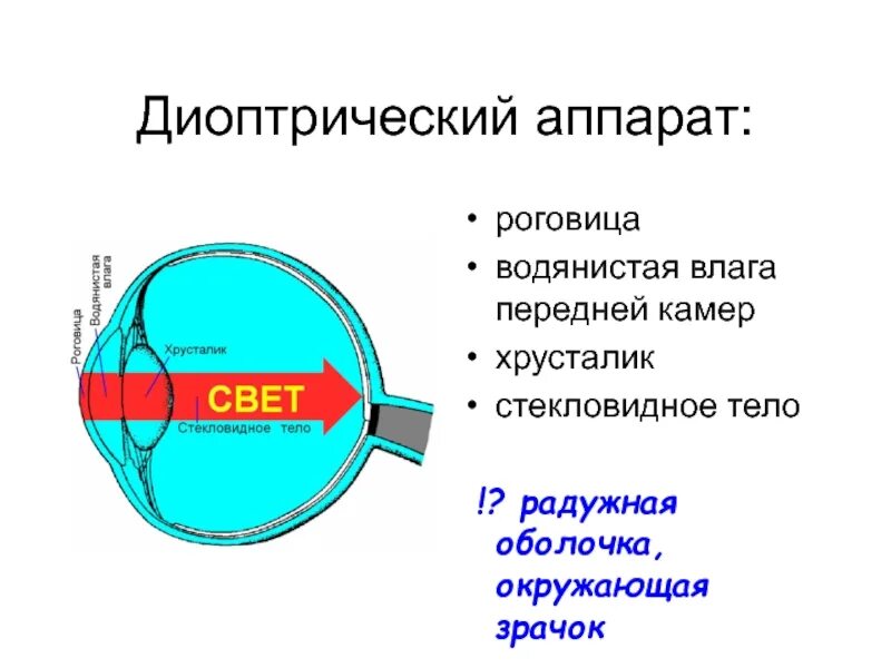 Диоптрический аппарат глаза. Диоптрический аппарат глаза состоит. Состав диоптрического аппарата глаза. Стекловидное тело водянистая влага.