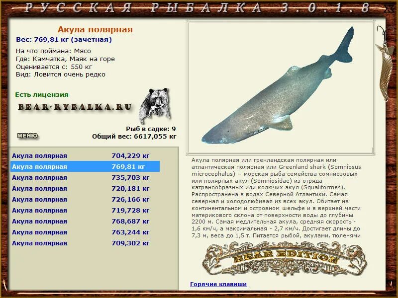 две акулы вокруг рыбы. 7. вес акулы в среднем. 7. русская рыбалка остров врангеля акула полярная.