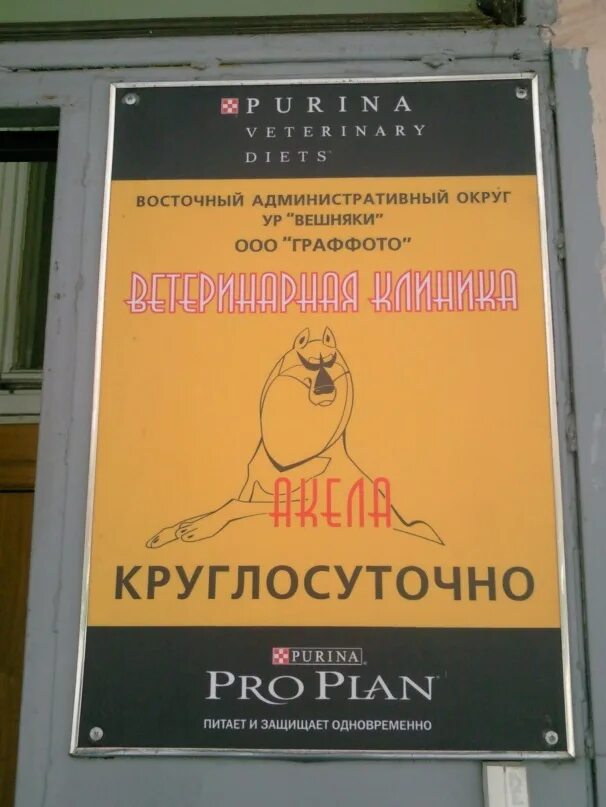 Ветклиника вешняковская 12ж акелла. Вешняковская, д. Ветклиника вао старый гай 10. Ветклиника вешняки. Ветеринарная клиника вешняки.