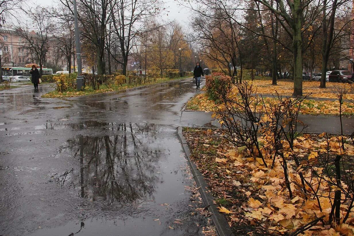 Мокрый двор