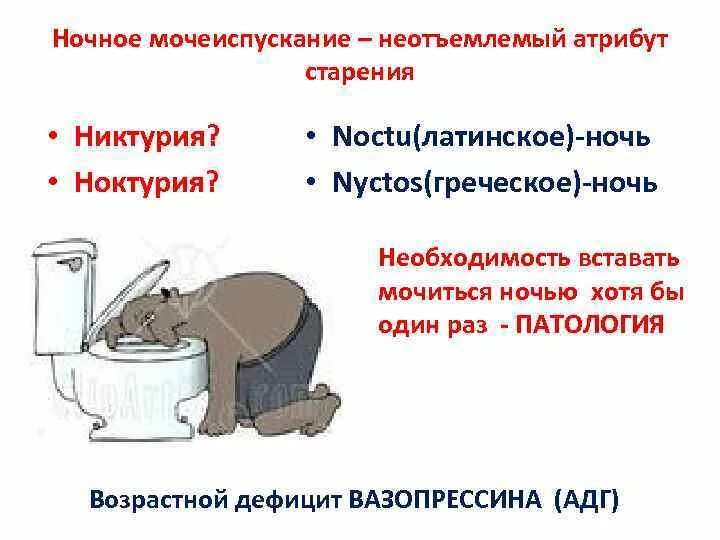 При мочеиспускание жжение у женщин лечение. При мочеиспускание жжение у женщин лечение
