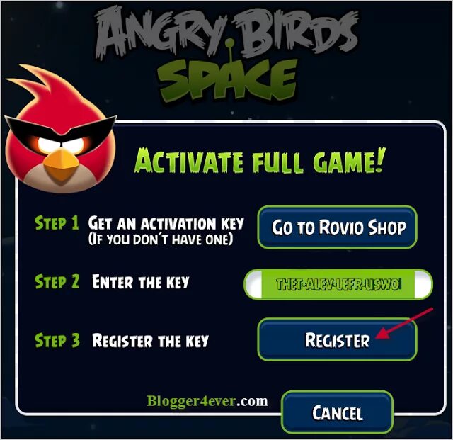 Bird коды. Ключи для Angry_Birds. Angry Birds Space игра. Код Angry Birds. Ключ активации Angry Birds.