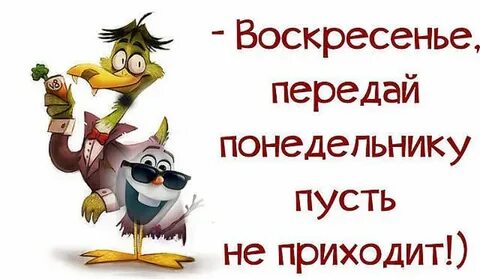 Воскресенье юмор