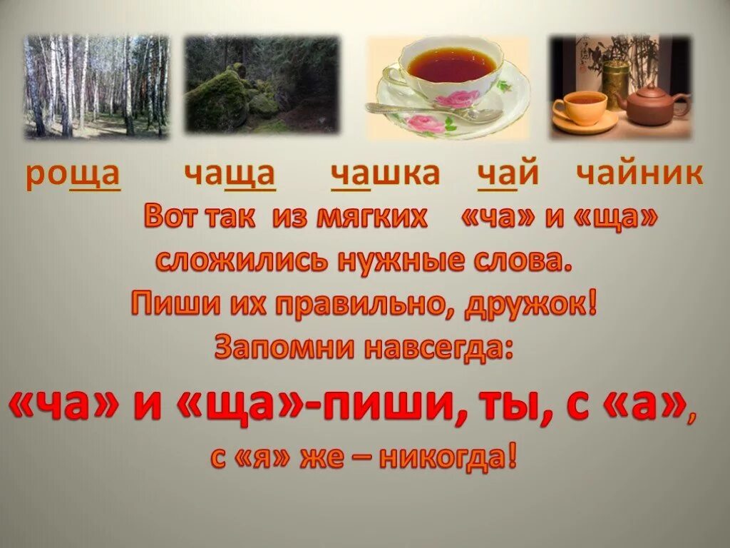 Почему слово чащу