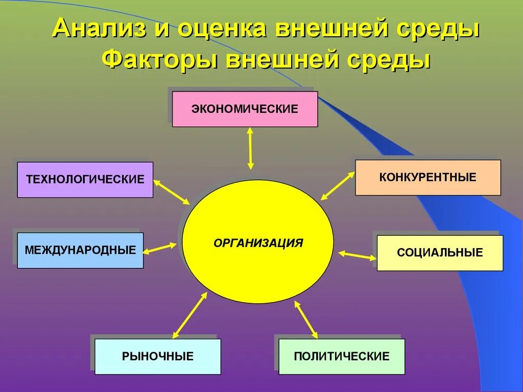 Какие факторы влияют на расположение районов Санкт Петербургский государственный