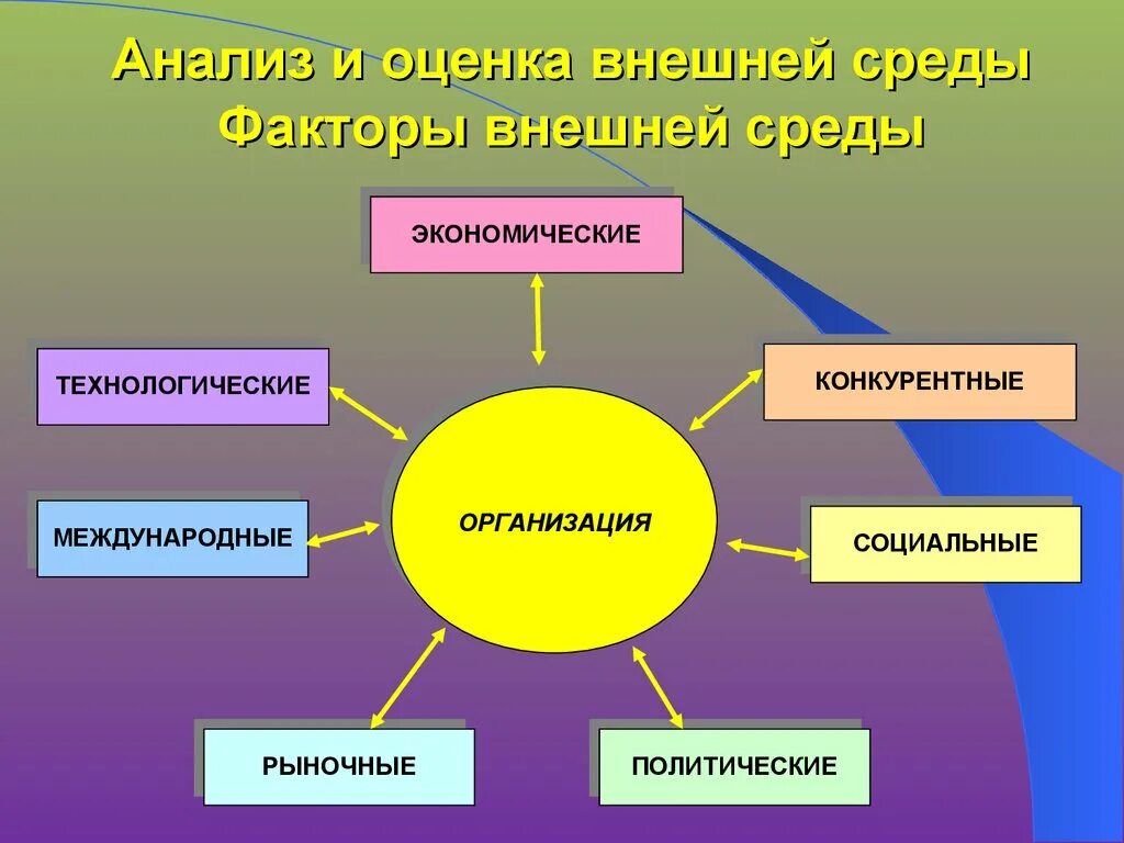 Внешней среде можно отнести