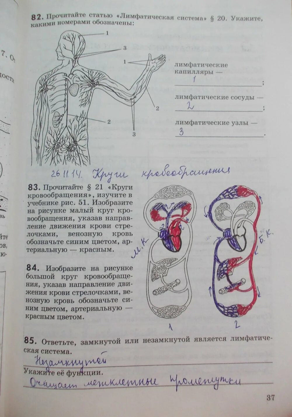 Биология 8 класс стр 179. Учебник по биологии 8 класс Колесов учебник. Биология 8 класс Колесов маш Беляев. Биология 8 класс д.в.Колесов р.д.маш и.н.Беляев. Задания по биологии 8 класс.