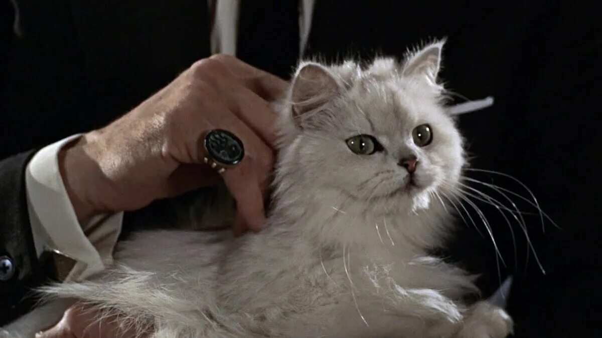 Вольт (2009). Эрнст ставро блофельд с котом. Коты злодеи. Мистер бигглсуорт остин пауэрс. Джеймс бонд блофельд.