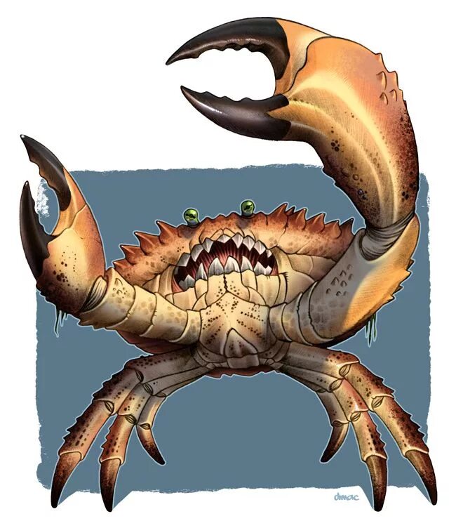 Легенды краба. Giant Crab. Гигантский краб монстр. DND Art чудовище краб.